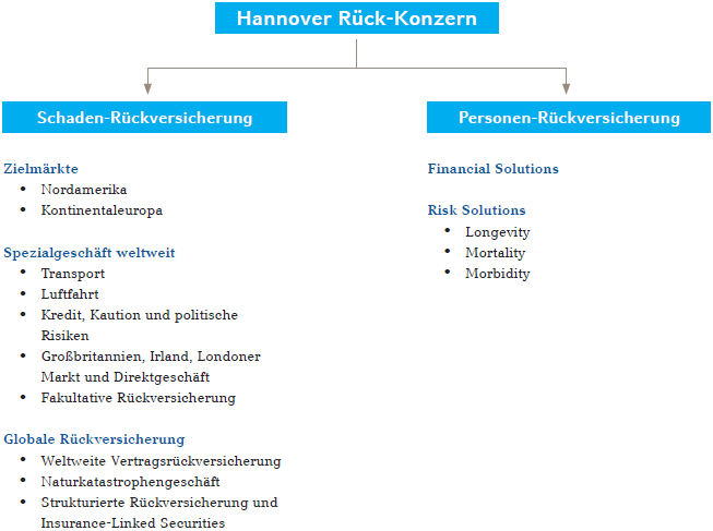 Strategische Geschäftsfelder des Hannover Rück-Konzerns (Diagramm)